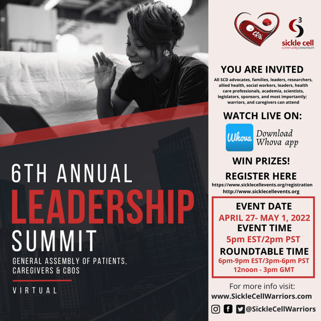 6th annual leadership summit online poster
